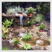 Water-feature